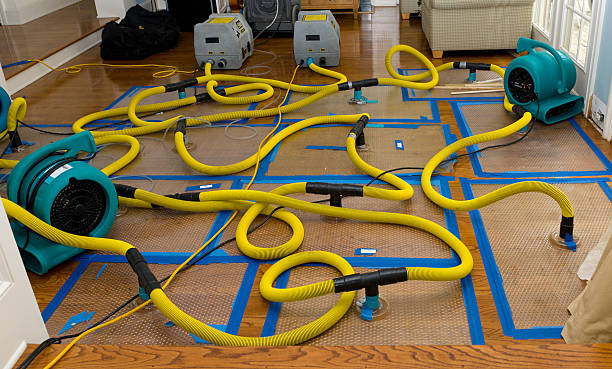 Professional Sewage Cleanup technician working in Carsonville, MI